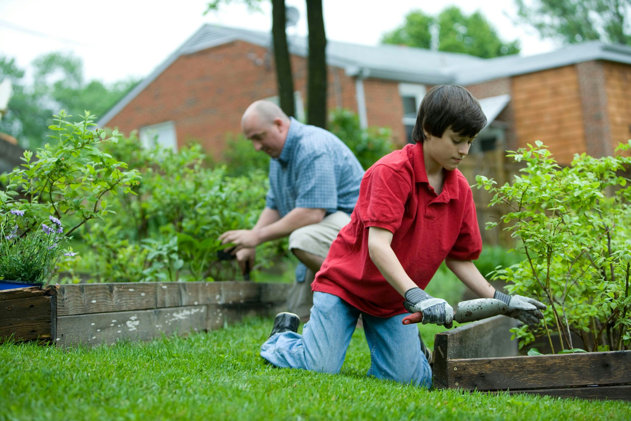 man in red polo shirt and blue denim jeans sitting on brown wooden bench during daytime: Property 