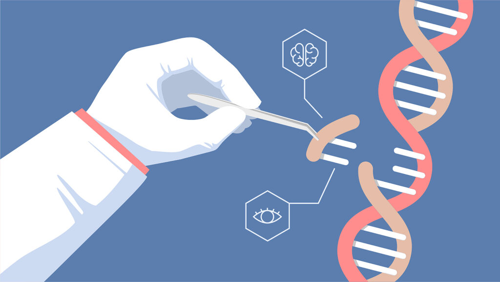 Genetic Modification: The Dual Edge of Modification