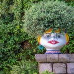 green leafed plant in white Buddha head pot