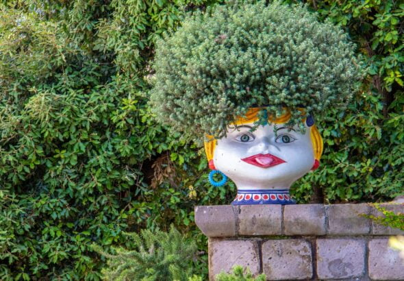 green leafed plant in white Buddha head pot