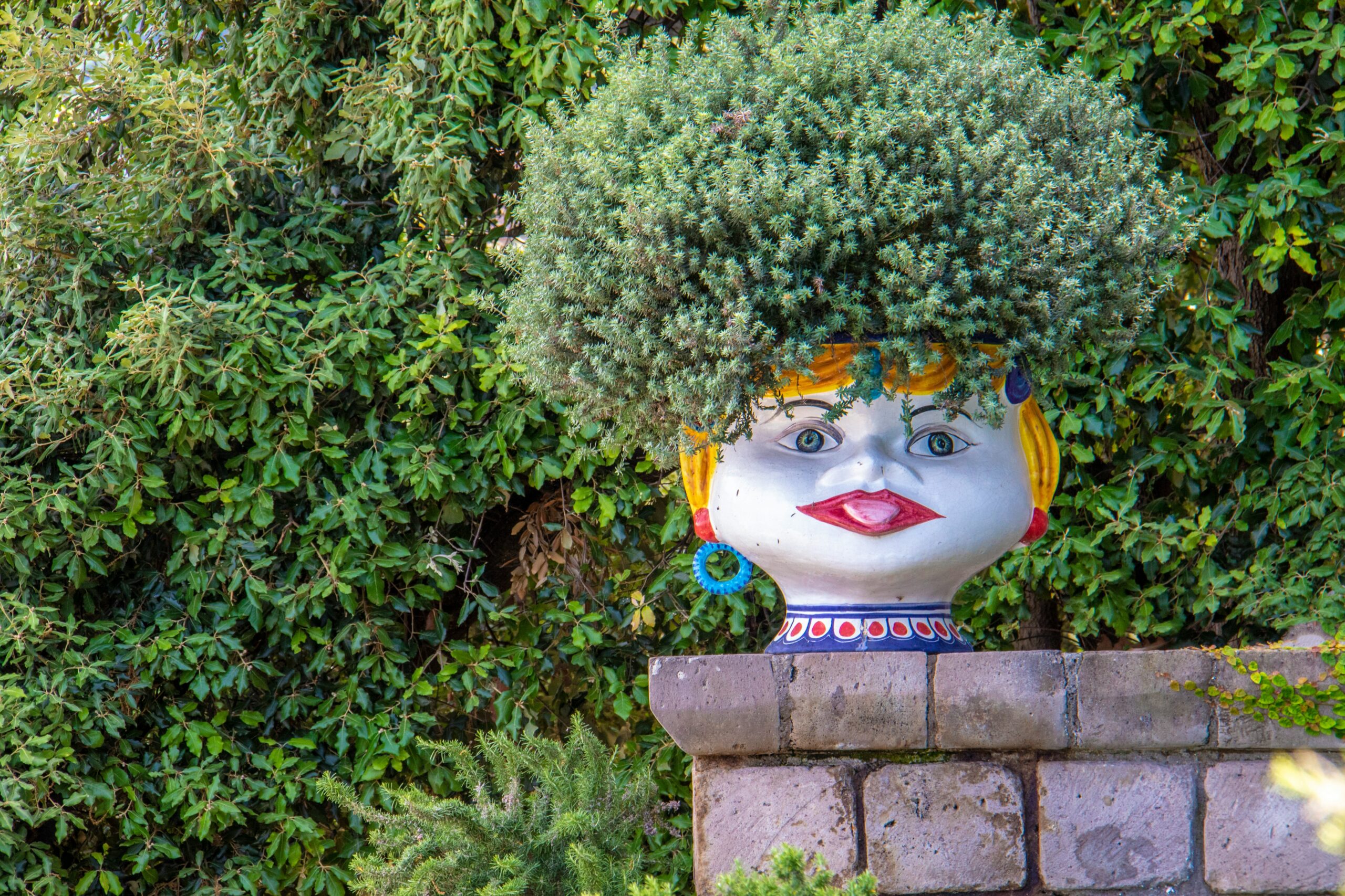 green leafed plant in white Buddha head pot: Bizarre Laws Around the World That Will Leave You Speechless